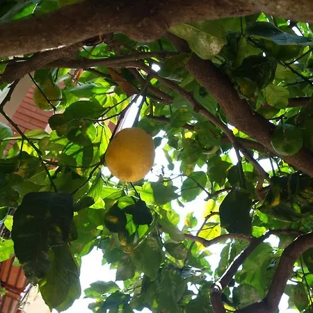 B&B Giulia 타오르미나