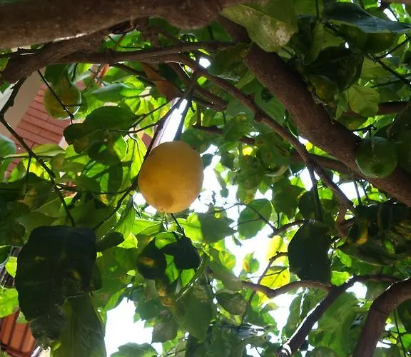 לינה וארוחת בוקר Giulia טאורמינה