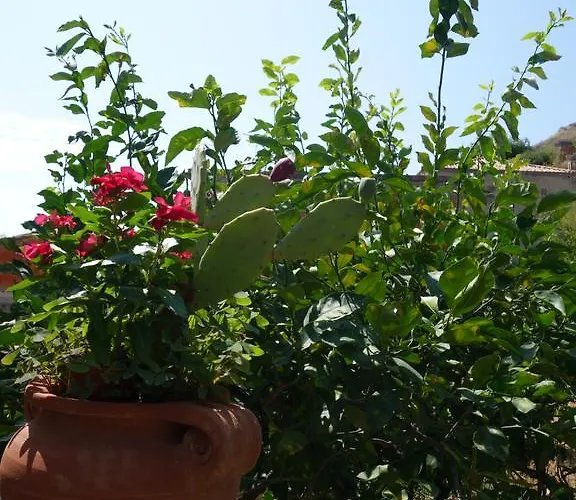 Giulia 3* טאורמינה