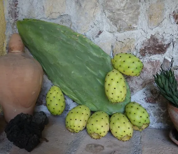 לינה וארוחת בוקר Giulia 3*