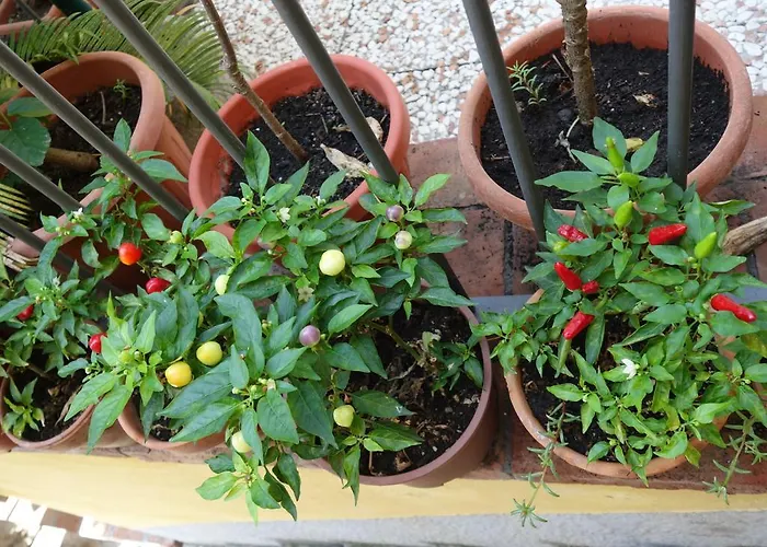 Bed & Breakfast Giulia Taormina